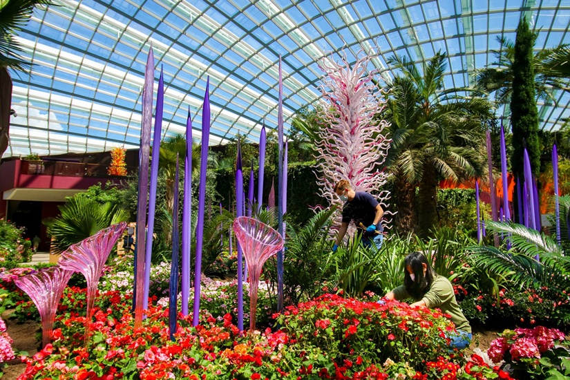 新加坡《戴爾‧奇胡利：Glass in Bloom》展覽