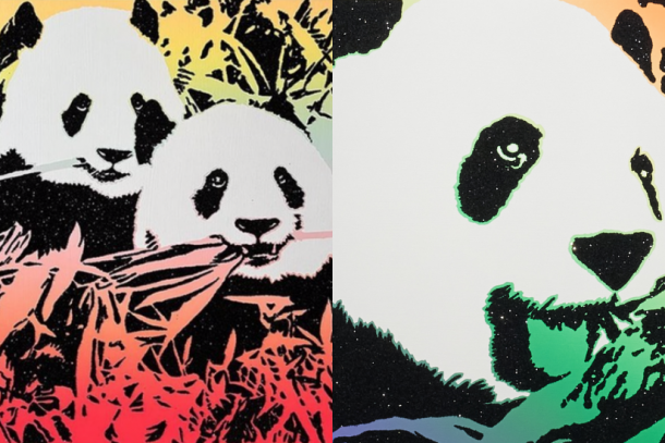 美國概念藝術家 Rob Pruitt 鍾情黑白國寶，最新熊貓主題個展進駐 MDC 畫廊！