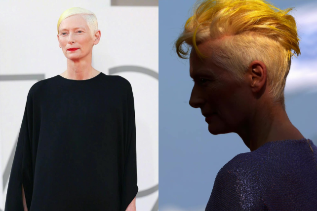 Tilda Swinton in 79th venice film festival