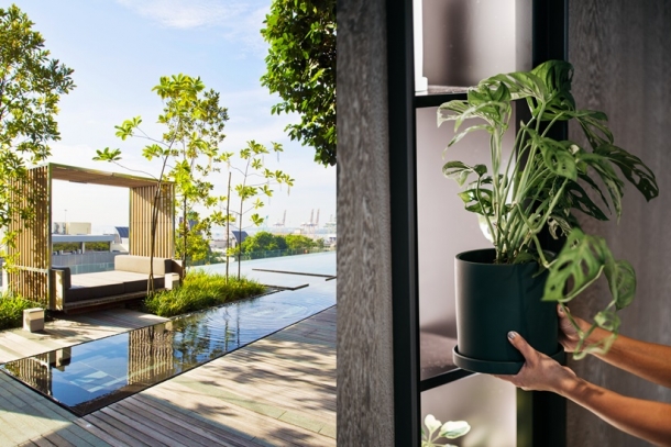 新加坡人氣打卡酒店 Dao！必影無邊際泳池，還可親自栽種療癒盆栽！