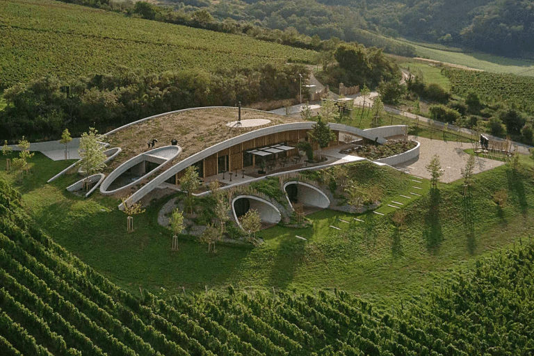 The Gurdau Winery