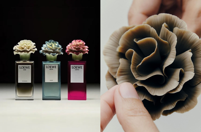 LOEWE × LLADRÓ