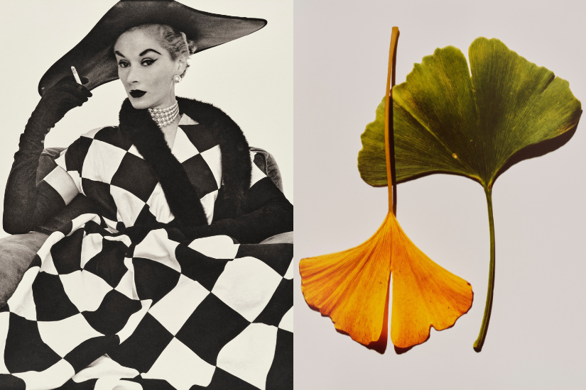 アート・デザイン・音楽 Irving Penn Portraits Major Irving Penn retrospective features Summer of Love